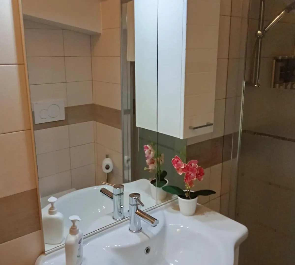 布雷索Casa Orchidea公寓 公寓
